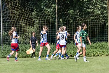 Bild 49 - wBJ Hamburger SV - VfL Wolfsburg : Ergebnis: 5:1